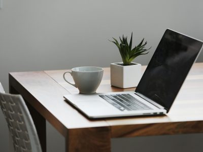 pexels-life-of-pix-42408